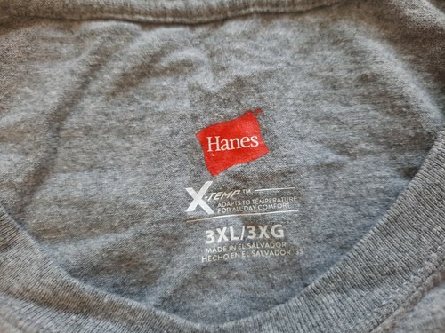 Hanes X-Temp Men's Basic T-Shirt Top Gray Size 3XL Crew Neck Short Sleeves - 第 3/4 張圖片