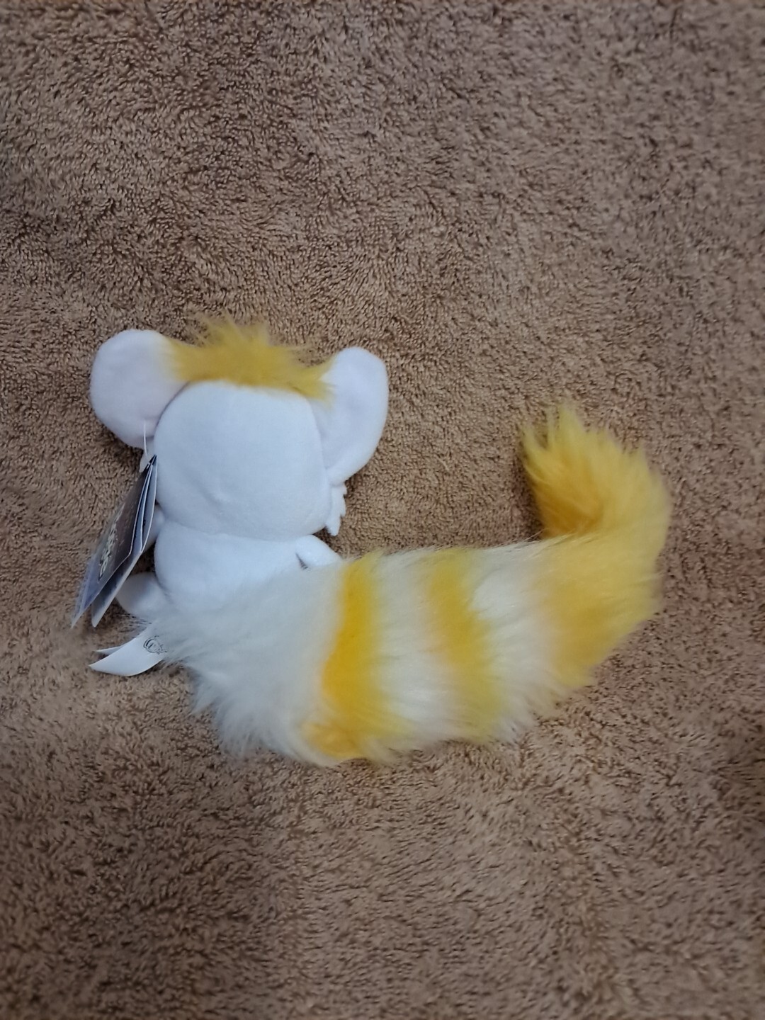 Picture 4 of 6