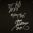 Foto 2 di 7