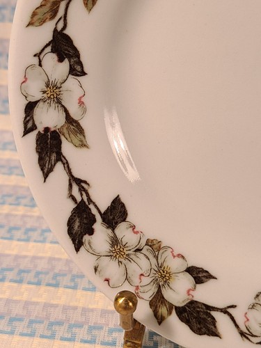 Vintage Bread Plates SHENANGO CHINA Railroad Ware NORTHERN DOGWOOD ~6.5" USA - Picture 2 of 4
