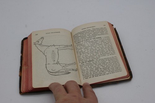 The Planters Guide 1905 Cotton Piicking Leather Bound - Bild 5 von 6