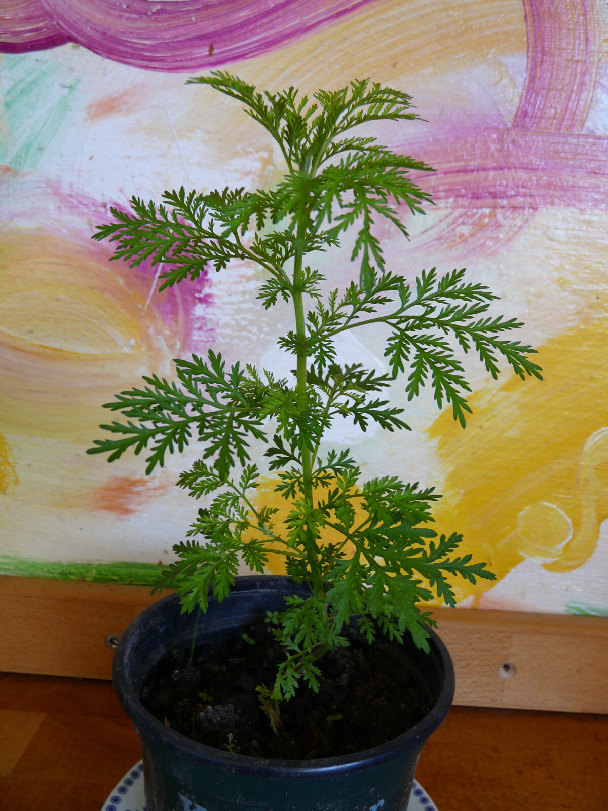 Bild 1 von 1