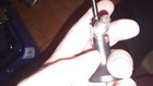 Bild 2 von 2