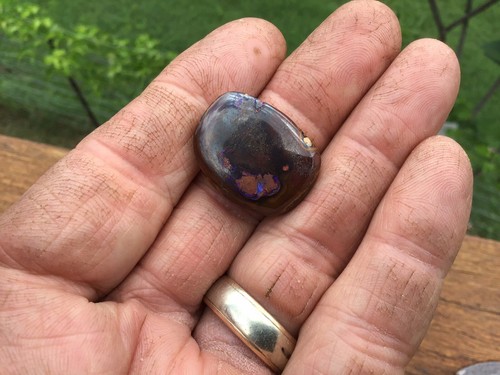 Opal, 35.6ct Boulder Opal, Queensland, Australia - Picture 9 of 12