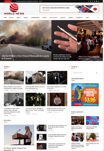 Automated Wordpress NEWS Website - Turnkey Profitable Autoblog - 第 1/1 張圖片