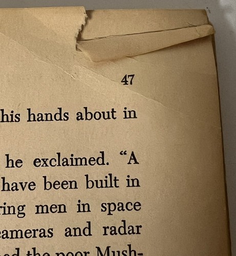 The Wonderful Flight to the Mushroom Planet Eleanor Cameron 1st Scholastic 1966 - Picture 5 of 10