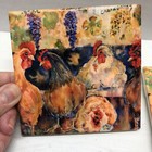 Foto 2 di 7