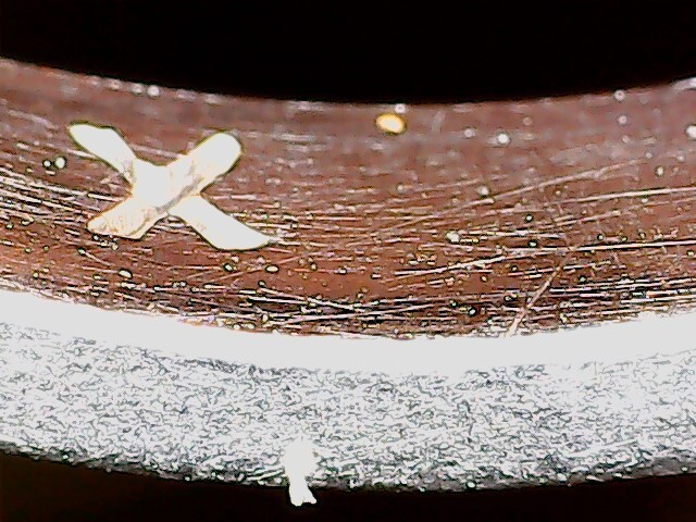 Picture 6 of 7