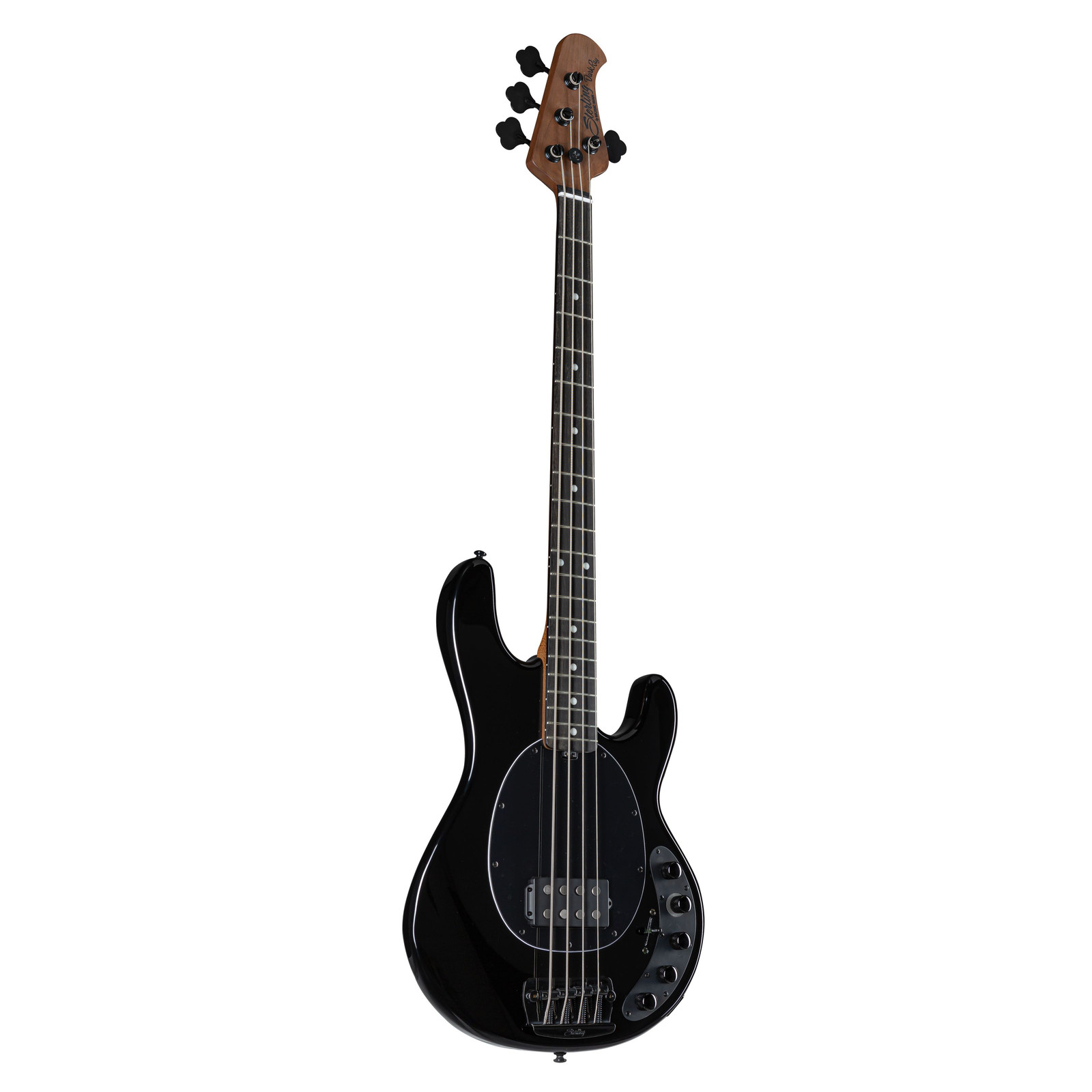 Sterling от музыканта StingRay DarkRay - E-Bass