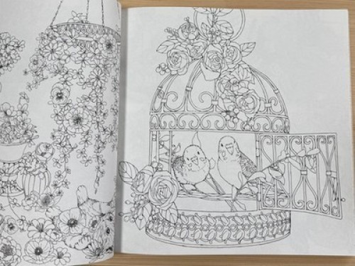 KANOKO EGUSA 2 set Coloring Book Symphony of Cute Animals/Rhapsody in the Forest - Picture 15 of 24