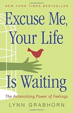 Excuse Me, Your Life Is Waiting: The Astonishing Power of Feelings by Lynn Grab
