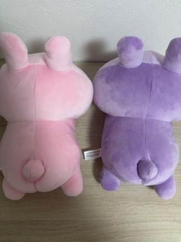 Asamimi-chan & Anemimi-chan Plüsch Armkissen Kissen Set 25 cm Po 2024 ohne Etikett - Bild 15 von 24