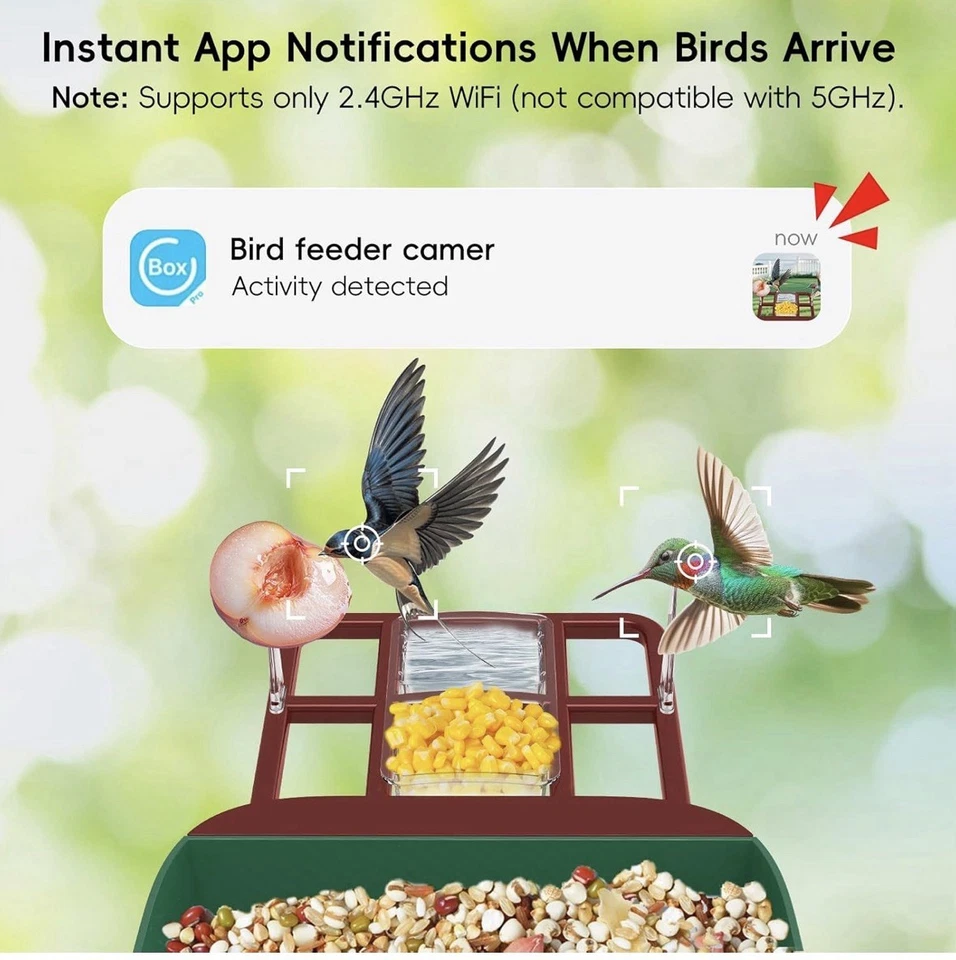 Smart Bird Feeder Cámara 4K HD Alimentada por Energía Solar AI ID Alertas 32 GB Tarjeta Impermeable Foto 3 de 4