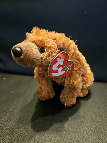 Beanie Baby Sequoia Bear **Mint Condition** TY Vintage Retro Teddy - Picture 1 of 11