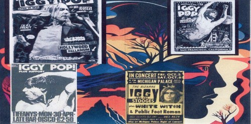 Iggy Pop- Old Mule Skinner-Unreleased W/ Brian Eno -Imperium Reissue- CD IMPORT - Picture 8 of 9