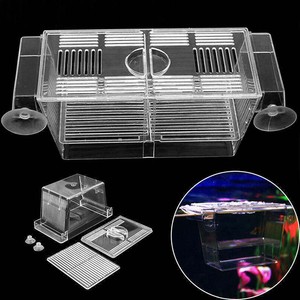 acrylic fish tank breeding