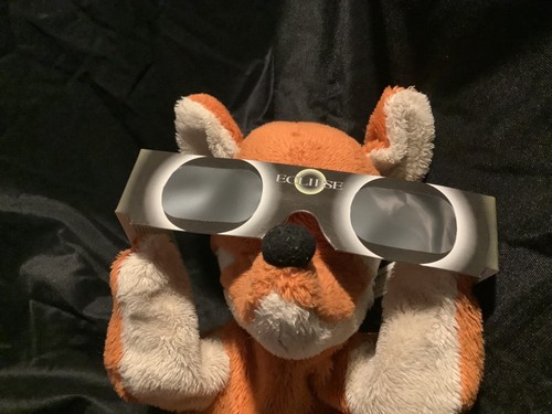 Sonnenfinsternisbrille "The Eclipser" CE ISO zertifiziert SoFi Kinder 12.08.2026 - Bild 6 von 12