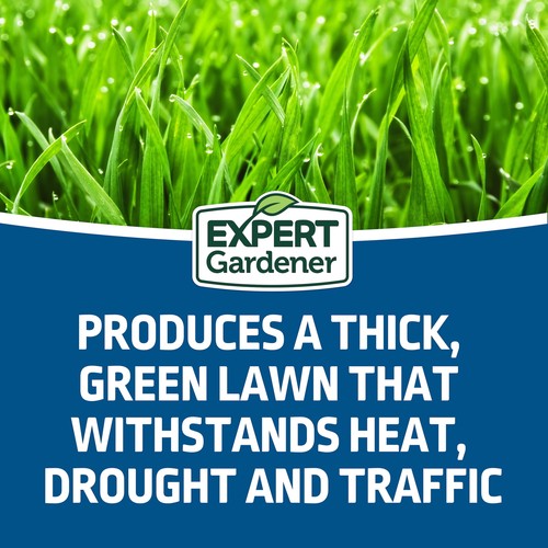 Sun & Shade Southern Grass Seed Mix, for Sun to Partial Shade, 7 lb. USA - Picture 7 of 9
