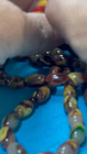 Video 1 of 1