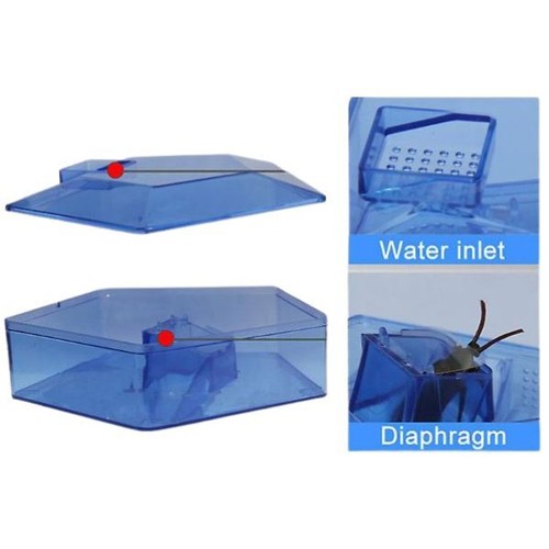 Cockroach Catcher - Picture 3 of 3