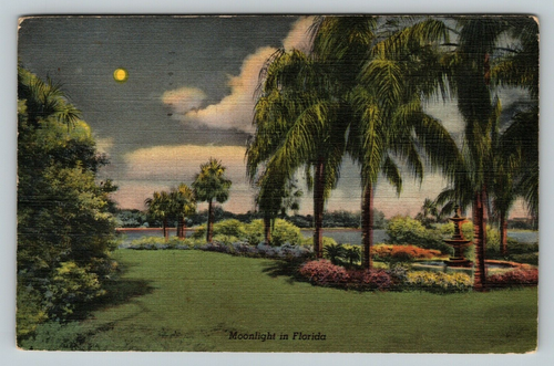 Postcard FL Moonlight in Florida Tropical Palm Trees Flowers Vintage Linen - Picture 1 of 2