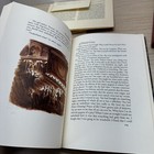 Bild 13 von 22