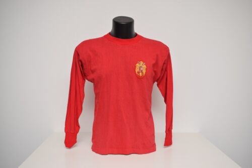 Camiseta España match worn 1971 - Imagen 2 de 10