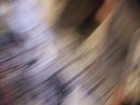 Bild 7 von 8
