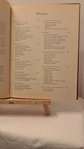 Hammonds Guide to Nature Hobbies outdoor by E.L. Jordan Illustrated 1953 - Foto 4 di 8
