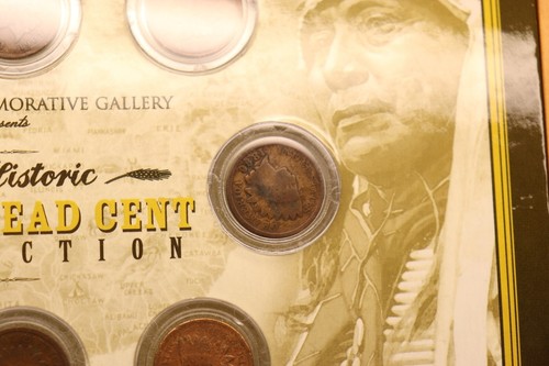 The Historic INDIAN HEAD CENT collection in presentation maple 10x coins - Picture 8 of 15