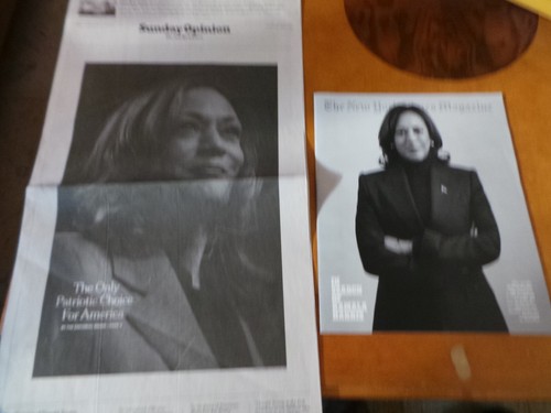 2 Kamala Harris NY Times Magazine & Newspaper The Only Patriotic Choice Oct 2024 - Picture 1 of 10