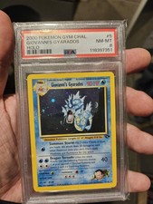 Image for Giovanni's Gyarados