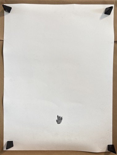 Godzilla Minus One - Póster brillante serigrafiado - Cartulina - 18" x 24"" - Imagen 2 de 4