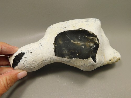 Pedernal inglés con corteza piedra para romper roca áspera Inglaterra #O4