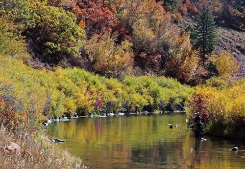 KF Flasher Nymph Emergers UV Black - Premium Trout Fly Fishing Flies - Picture 23 of 24