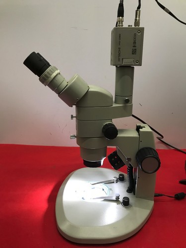 Microscopio de video trinocular MMBT 50X superior y retroiluminación LED oculares SZ-WF10X - Imagen 11 de 21