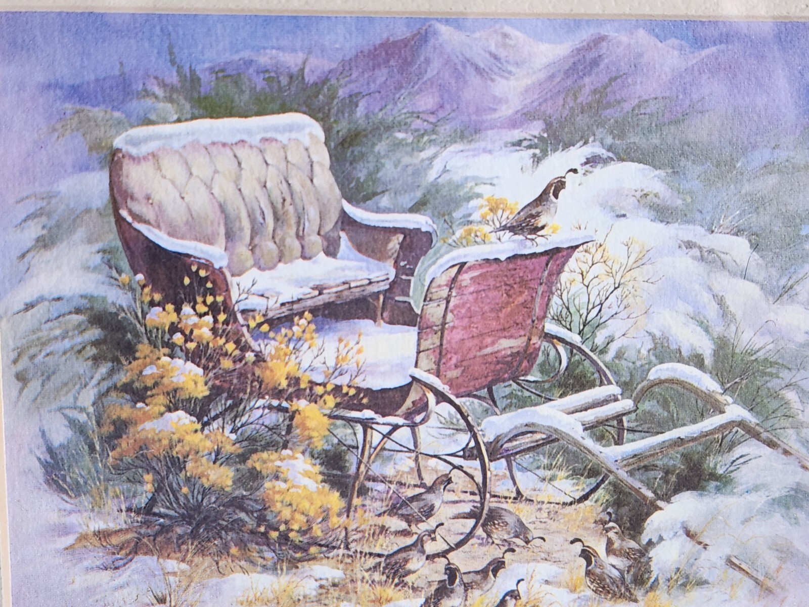 Picture 3 of 14