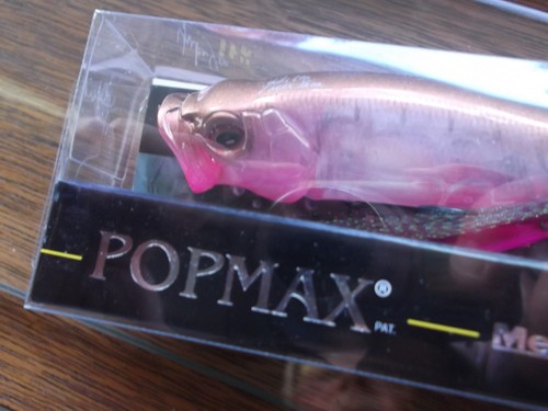Megabass ITO Pop Max Popper GP Gerbera SP-C Respect - Bild 4 von 12