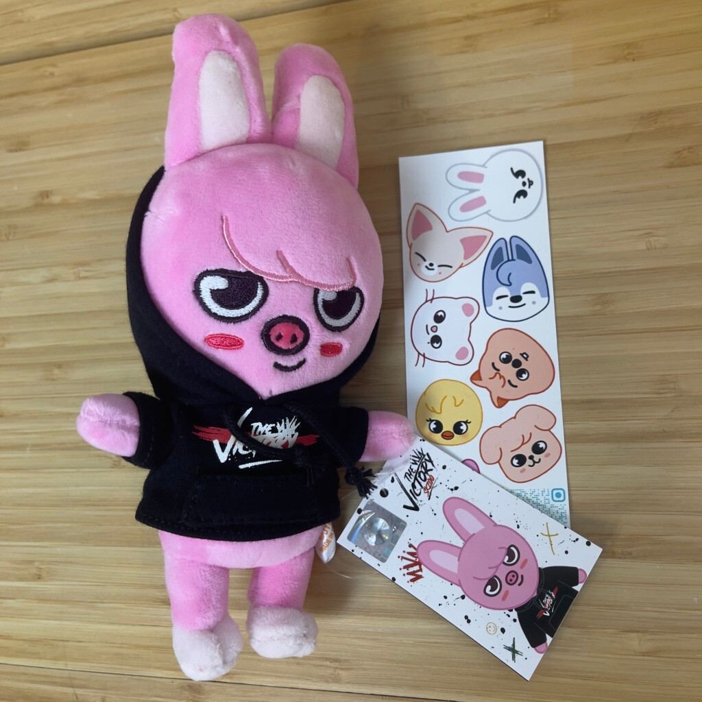 15cm SKZOO The Victory - Dwaekki - Mini Plush 2022 - New