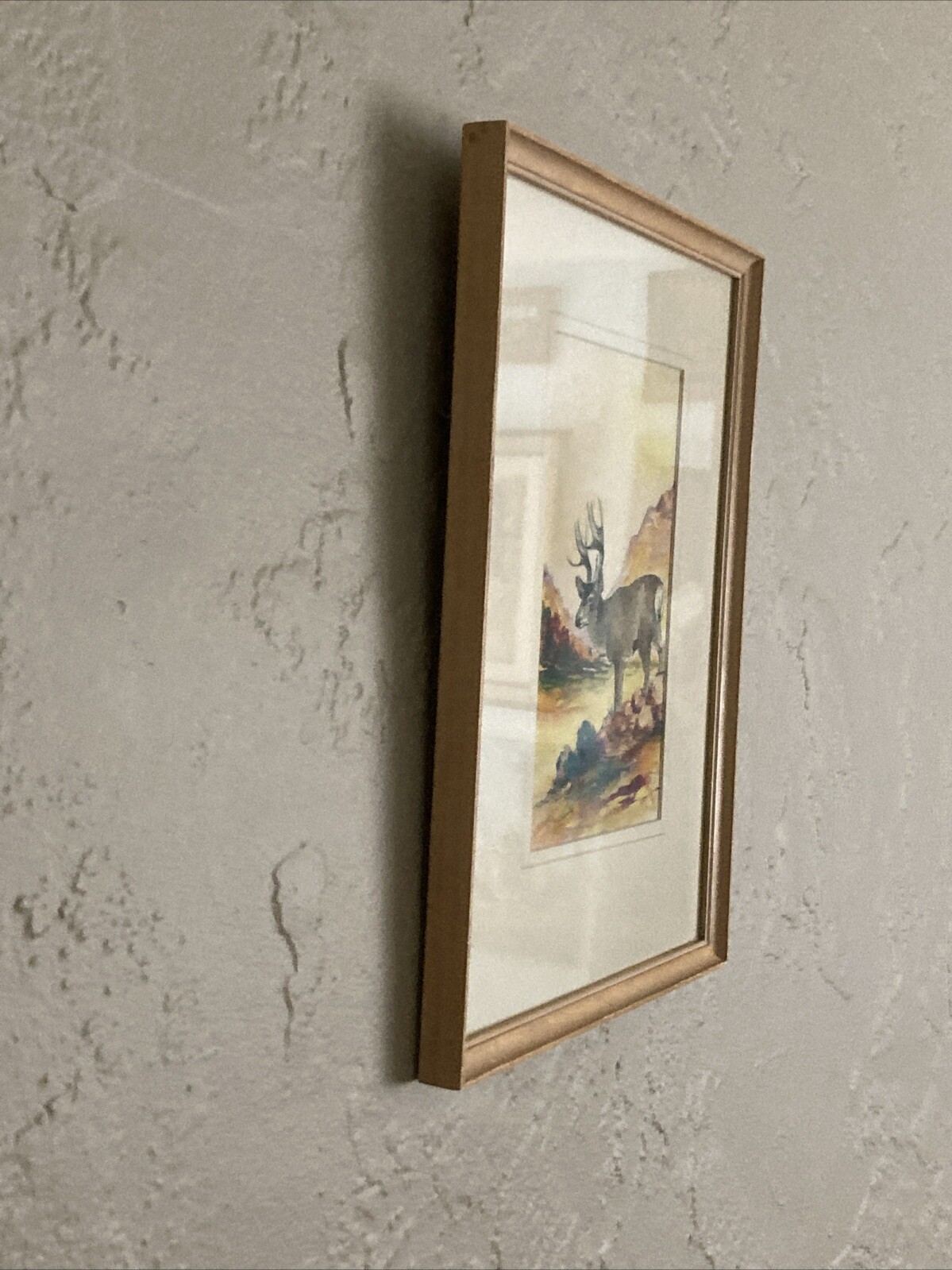 Picture 9 of 10