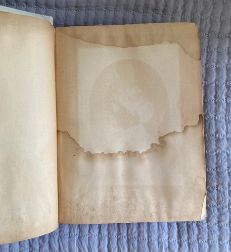 Original White House Cook Book; 1889, Vintage Hardcover - Picture 11 of 17