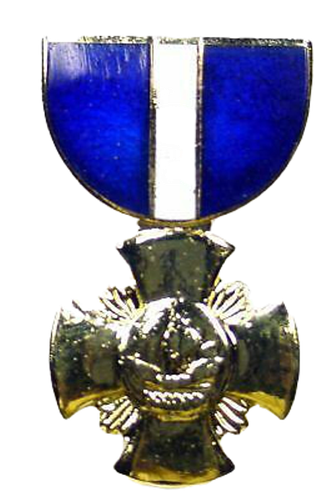 MEDALLA PREMIO PERSONAL MILITAR DE EE. UU. COMPLETA/MINI CINTA VETERANO PIN UP REGALO EE. UU. WOW - Imagen 18 de 22