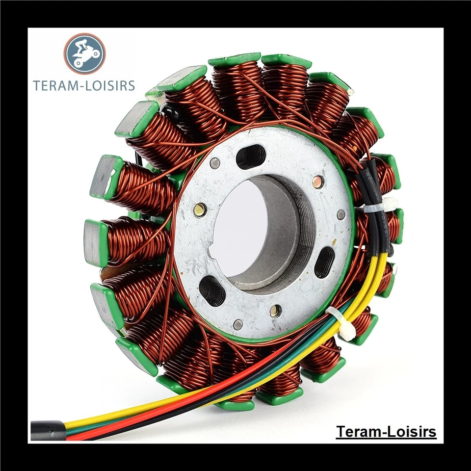 Estator para Husaberg FS 600 E desde 1999 Foto 3 de 4