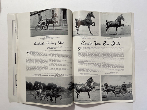 American Horseman Magazin März 1938 - Bild 8 von 9