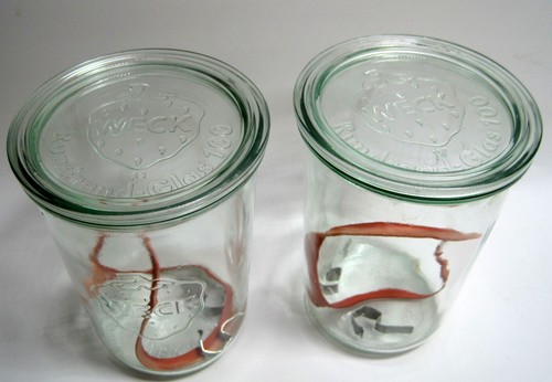 Set of 2 - Weck Rundrand-Glas 100 Clear Glass Mold Jar 1 Liter W/Clip & Seal - Picture 2 of 5