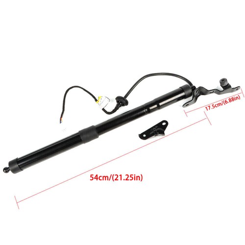 Rear Tailgate Power Lift Support Left & Right for Toyota RAV4 2013-2018 2PCS - Bild 4 von 10
