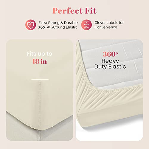 Sheets Set Egyptian Cotton - 1000 Thread Count 4 PC Egyptian Cotton King Sand - Picture 4 of 7
