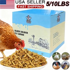 Black Soldier Fly Larvae for Chickens Non-GMO Nutrient Rich Mealworms for Birds