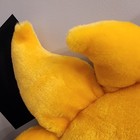 Foto 14 di 24