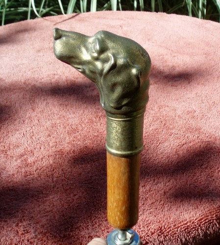 VINTAGE ANTIQUE ASIAN KOREA HUNTING DOG HEAD HANDLE UMBRELLA WALKING STICK CANE - Picture 13 of 24